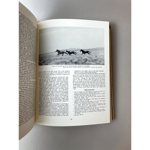 Brand Book Number TWO - San Diego Corral of the Westerners - First Edition + Map - Picture 9 of 11